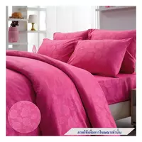 ชุดผ้าปู K6 TULIP DELIGHT 60239-DL546