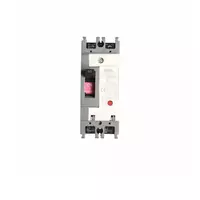Main breaker 2P 50A model NF63-CW