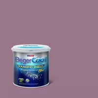 #125-5 BegerCool Diamond Shield Plus Sheen Exterior Nice Smile 125-5