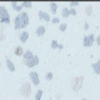 DYNOFLEX Rubber Tile SL-1101