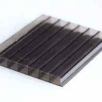 Poly Carbonate Twinwall Sheet D06 Bronze