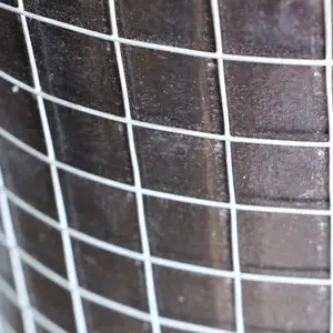 Stainless Steel Square Welded Wire Mesh 1/4 in-1