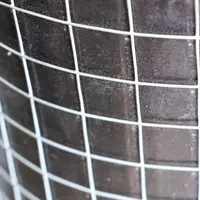 Stainless Steel Square Welded Wire Mesh 1/4 in