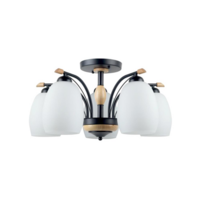 CEILING LIGHT 01-02684 LE GS CT WH/AB5L