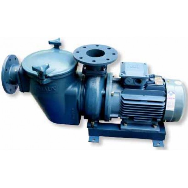 EMAUX Swimming Pool Pump - SE Series-1