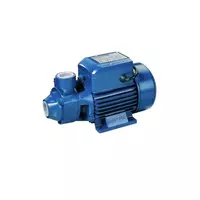 ปั๊มหอยโข่งครัวเรือน รุ่น LP-MKP60-1 กำลัง 0.5 แรงม้า / 370 วัตต์