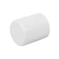 THAI PIPE 3/4" WH PVC Cap
