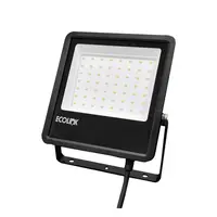 Outdoor spotlight LED ECOLINK FL007 50 watt DAYLIGHT (1239251)