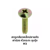 สกรูเกลียวเหล็กปลายตัดผ่าร่องชุบรุ้ง หัวกะทะ JT+ M3