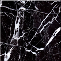 กระเบื้องปูพื้น 60x60 ซม. (24x24 นิ้ว) หินอ่อน แบล็คมาคิวน่า