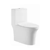 One Piece Toilet VICTOR 8075 0