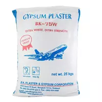 Gypcon Casting Plaster
