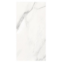 Wall Tile 30X60CM EVELYN WHITE 1.44M2