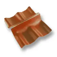 Wall ridge Cover Roman Tile Diamond Golden Dragon Orange