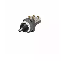 Arrow push switch model SS-30-2P