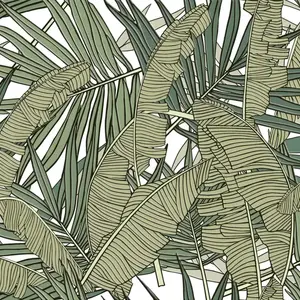 COTTO Wall Tile WT 30x45 cm PLATANO TROPICA R/T PM