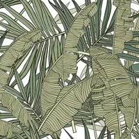 COTTO Wall Tile WT 30x45 cm PLATANO TROPICA R/T PM