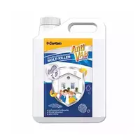 CAPTAIN MOLD KILLER 1GAL