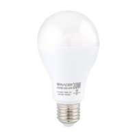 RACER A70 KATIE E27 20W LED bulb, daylight, pear shape
