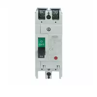 Circuit breaker 2P 60A model NF63-CW