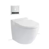 Wall Faced Toilet TOTO CWT763FVPB
