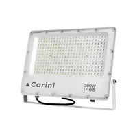 Outdoor spotlight LED CARINI NYSP300W 300 watts DAYLIGHT (1232781)