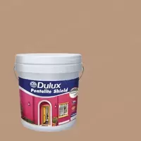 #90YR 36/203 Dulux Pentalite Shield For Exterior and Interior Matt Brownington Court 90YR 36/203