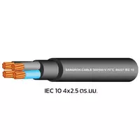 สายไฟ IEC 10 4x2.5 ตร.มม. สีดำ BCC