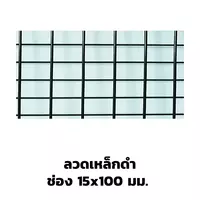 ตะแกรงอาร์ค ลวดเหล็กดำ 15x100 มม.