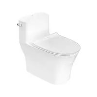One Piece Toilet American Standard 0 4.8 L