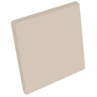 กระจกเคลือบสี Pastel Kote Glass Nude