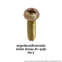สกรูเกลียวเหล็กปลายตัดผ่าร่องชุบรุ้ง หัวกลม JP+ M3.5