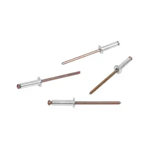 รีเวท DEXZON 4-6 1/8"x1/2" 100P-1