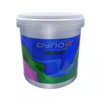 สีรองพื้นปูนใหม่ DYNO EX #P-700