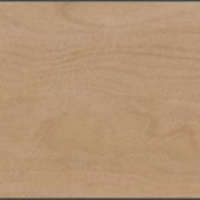 กระเบื้องยางไวนิลปูพื้น รุ่น Dynoflex Wood Series 2 DYNOFLEX WE 1075