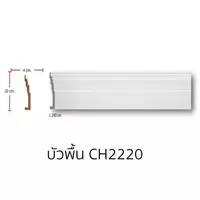 Wall Trunking PU CH2220