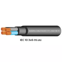 สายไฟ IEC 10 3x6 ตร.มม. สีดำ BCC