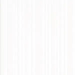 COTTO Wall Tile WT 20x30 cm TABAC WHITE II PM