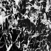 Black Marquina Spider Marble 60x60 cm
