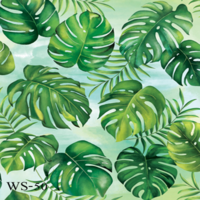 สติกเกอร์ติดกระจก ลายสี WS-50