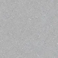 COTTO Floor Tile FT 60x60 cm PABLO LIGHT GREY POL R/T PM