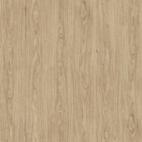 กระเบื้องยางหลังกาว 30.48X30.48 ซม. TARA DBV60