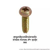 สกรูเกลียวเหล็กปลายตัดผ่าร่องชุบรุ้ง หัวกลม JP+ M4