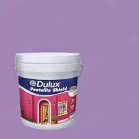 #41RB 30/290 Dulux Pentalite Shield For Exterior and Interior Matt Ilusion 41RB 30/290