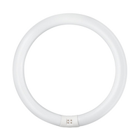 หลอดนีออนกลม PHILIPS TLE 32/54 สีขาว G10q