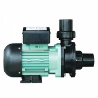EMAUX SPA Swimming Pool Pump - ST Series