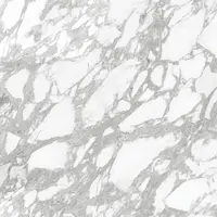 กระเบื้องปูพื้น COTTO GP 60x60 ซม. (24x24 นิ้ว) คลีโอน่า ขาว (R10) R/T PM