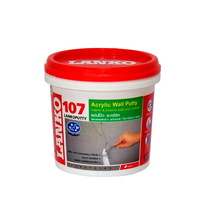 LANKO 107 1.5KG WH WALL PUTTY