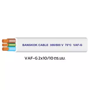 สายไฟ VAF-G 2x10/10 ตร.มม. สีขาว BCC 100 เมตร
