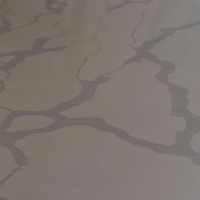 Quartz Stone CQ7006 60x60 cm